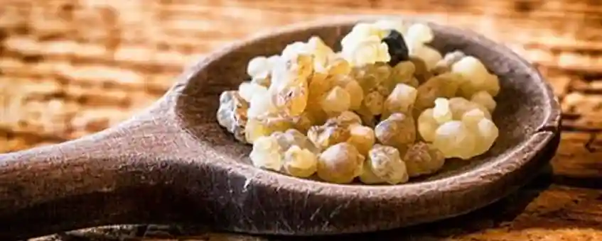 Amazing benefits of Frankincense Essential Oil