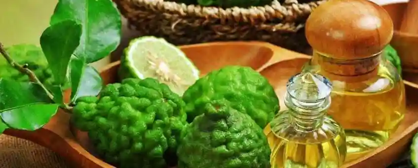 What are the Main Health Benefits of Bergamot Oil?