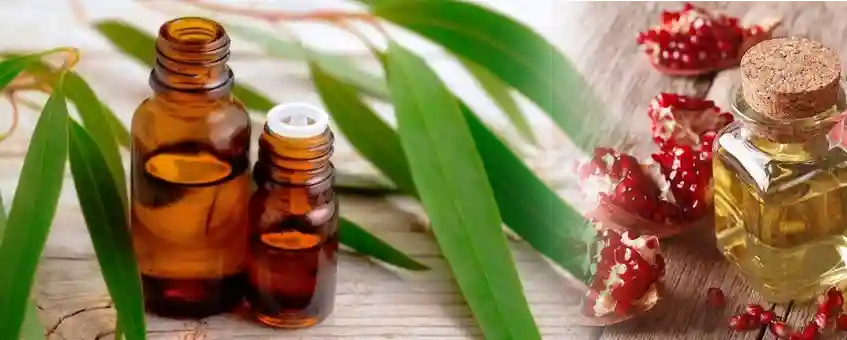 Bid Adieu To Aging Naturally With Essential Oils 