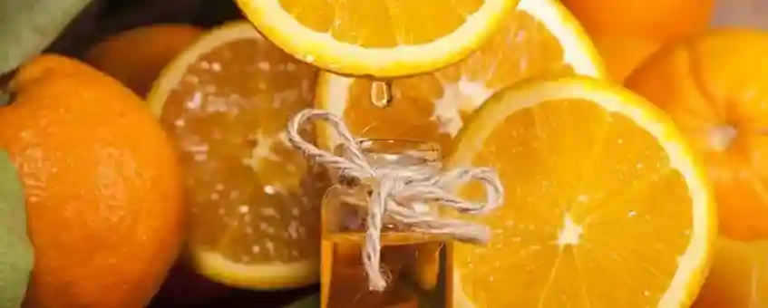 Wild Orange Oil Uses and Benefits