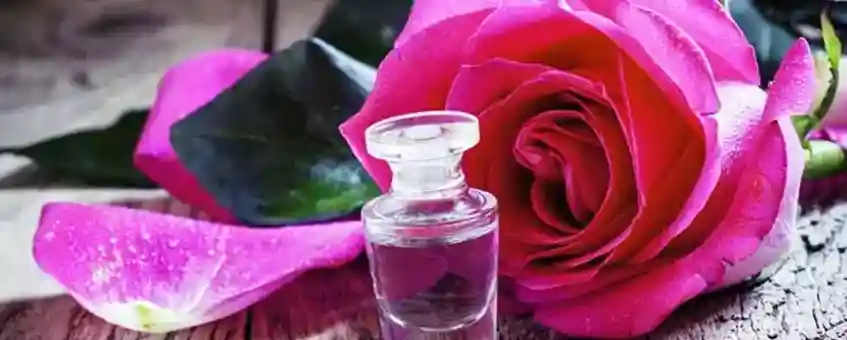 The Magical Benefits of Rose Oil for Beauty & Skin Care