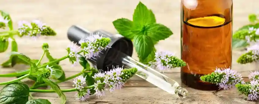 Best Essential Oils to Use for a Sore Throat