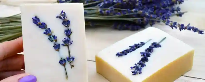 How to Make Homemade Soap From Lavender Oil?