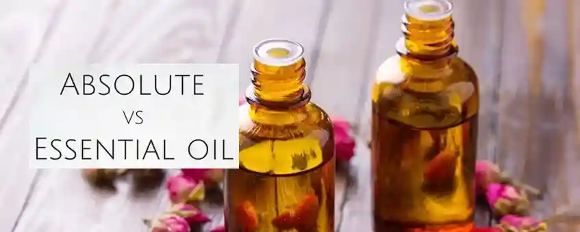 Absolute Oils vs Essential Oils: An Overview