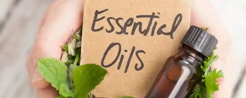 What are Essential Oils and Where They are Used?
