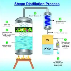 Steam Distillation Process