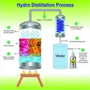 Hydro distillation process